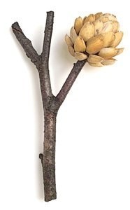 pist4.jpg